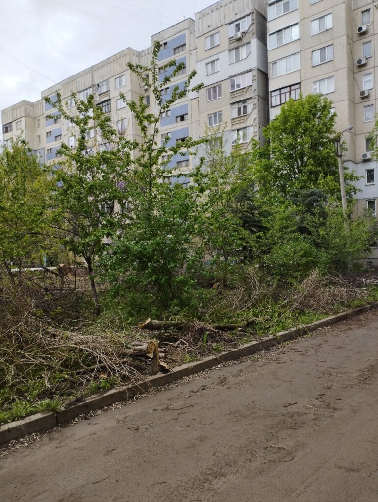 В окупованому Луганську комунальні служби за місяць не змогли ліквідувати всі наслідки снігопаду