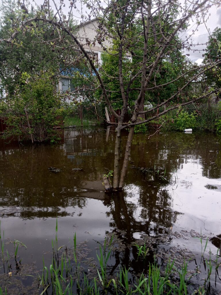 Жителі Луганська скаржаться на затоплені двори та забиту дощову каналізацію