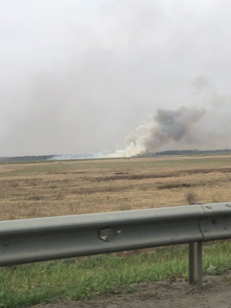 У Росії горять ліси. Мешканців сіл закликають евакуюватися самотужки