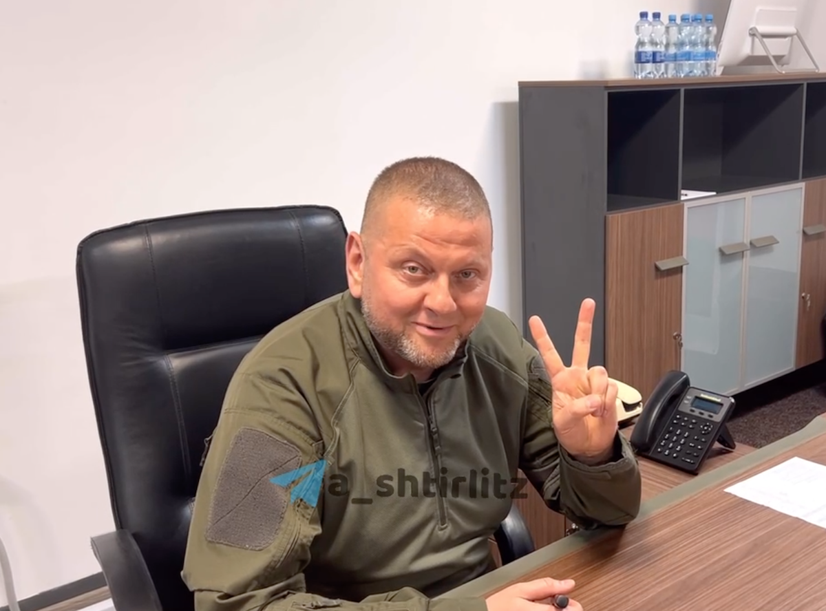 Залужний на відео спростував російські фейки та подякував українцям за підтримку