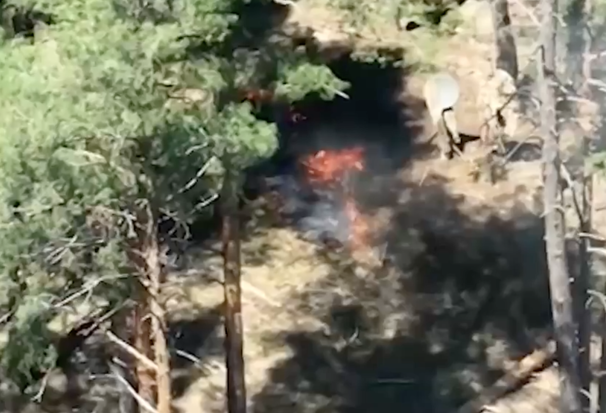 На Луганщині ЗСУ залишили без супутникового зв’язку підрозділ російських окупантів