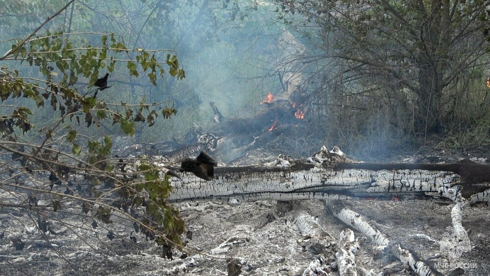 На окупованій Луганщині почалися степові пожежі