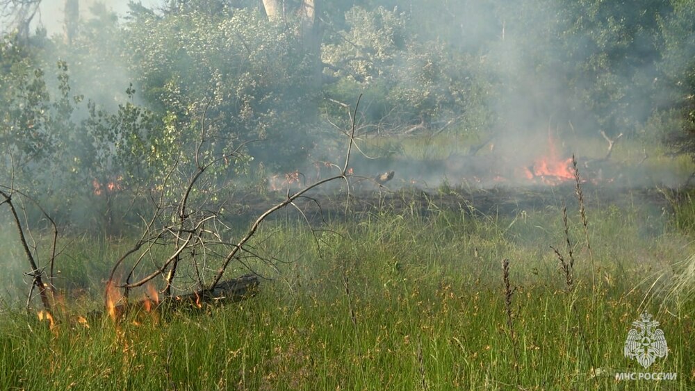 На окупованій Луганщині почалися степові пожежі