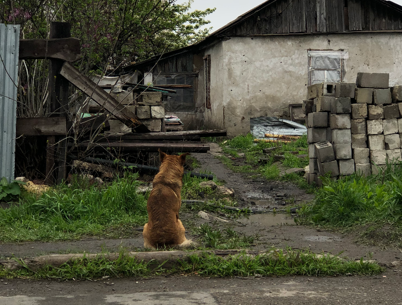 “Ми наче відкотилися у 2005 рік”: радянські прапори, російська пропаганда та зарплата 100 тис. рублів. Інтерв’ю з окупованого Маріуполя