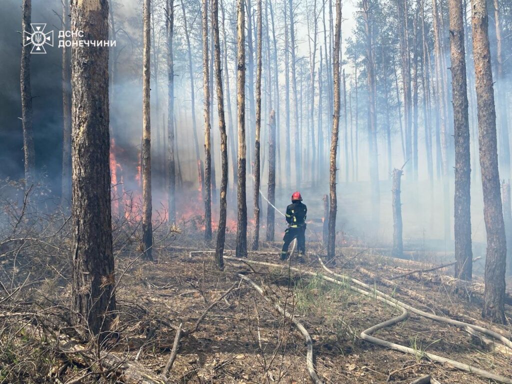 У природному парку “Святі гори” через обстріл росіяни почалася пожежа
