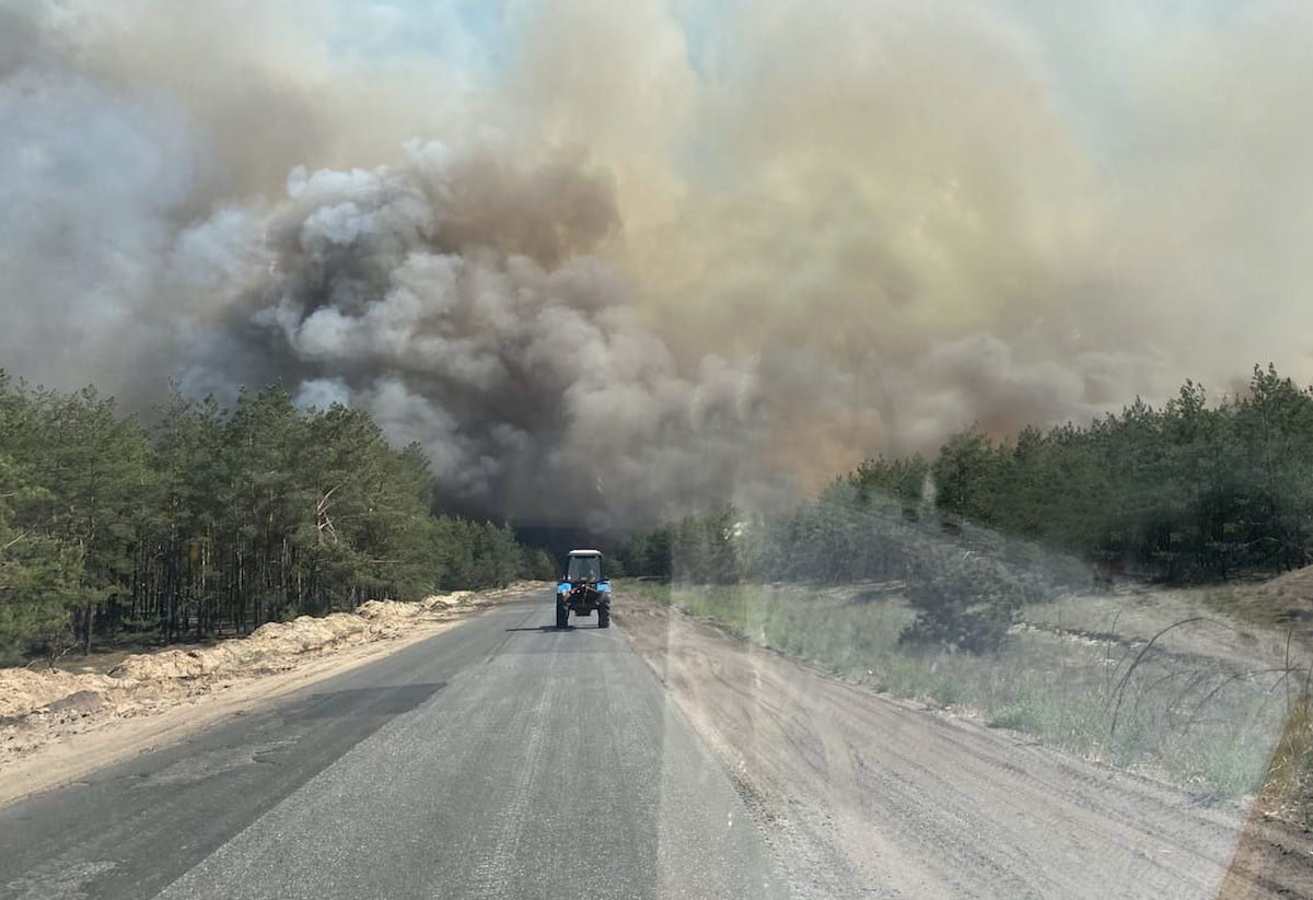 У Донецькій області внаслідок обстрілу росіян згоріло майже 500 гектарів лісу. Опубліковані фотографії