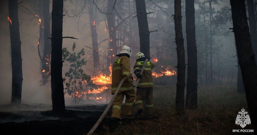 Окупанти показали масштабну лісову пожежу біля Станиці-Луганської, де вже згоріло 110 гектарів лісу