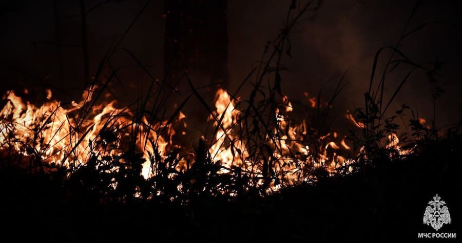 Окупанти показали масштабну лісову пожежу біля Станиці-Луганської, де вже згоріло 110 гектарів лісу