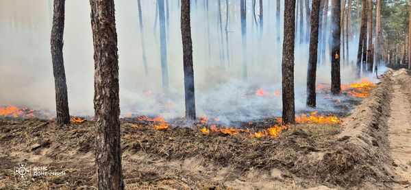 У Донецькій області сім годин гасили лісову пожежу, яка почалася через обстріли РФ