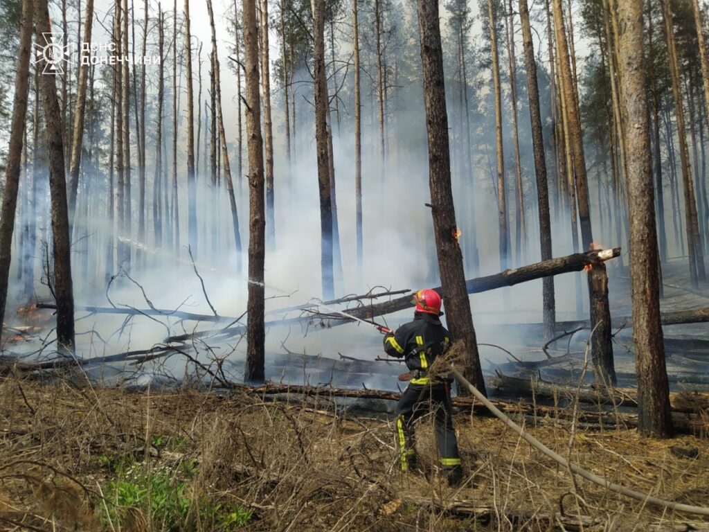 У природному парку “Святі гори” через обстріл росіяни почалася пожежа