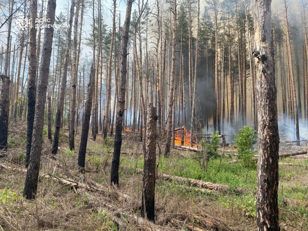 У природному парку “Святі гори” через обстріл росіяни почалася пожежа