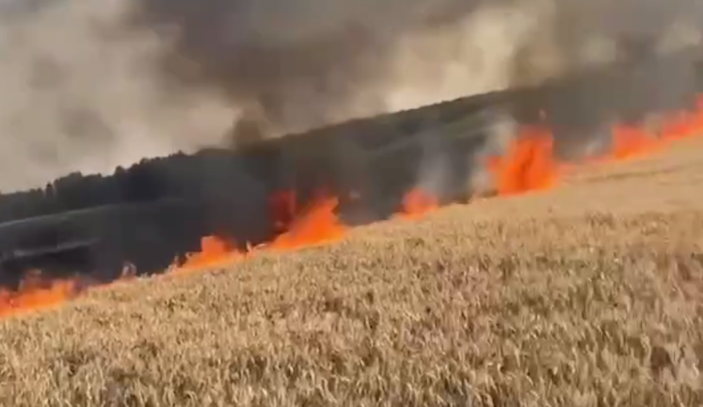 Рятувальники показали, як намагаються загасити поле пшениці, яке загорілося внаслідок російської атаки