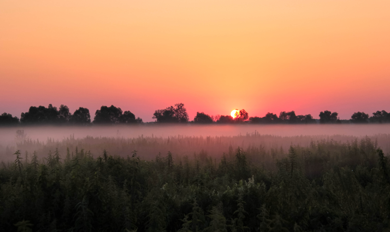 Верховна Рада скасувала перехід на літній та зимовий час. О котрій сходитиме сонце на сході країни