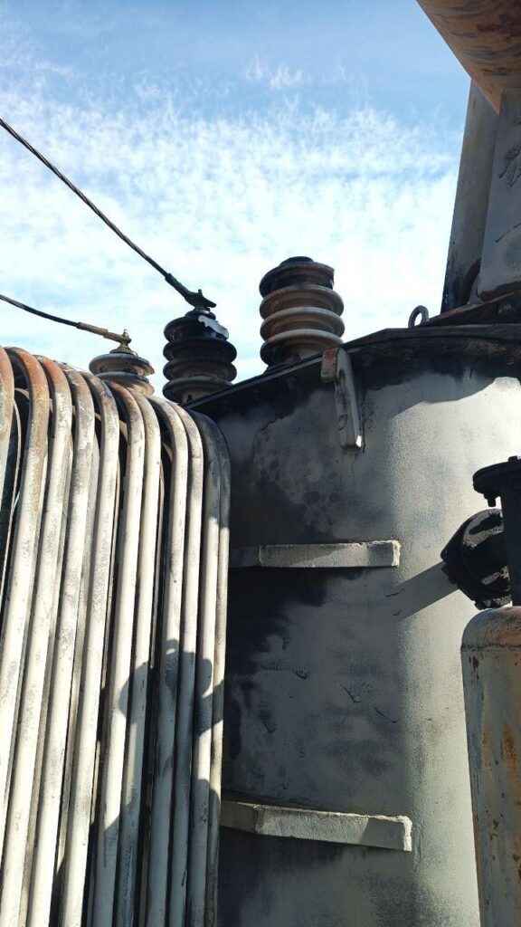 На окупованій Луганщині куниця залишила без світла 11 населених пунктів