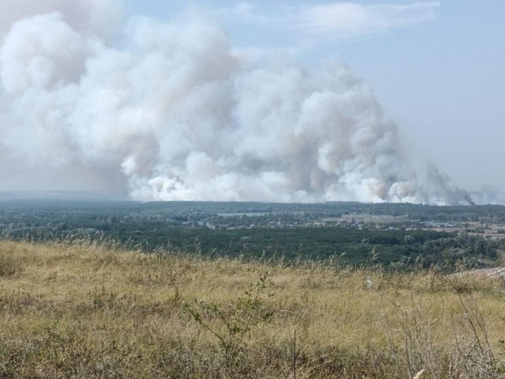 Під Лиманом горять близько 50 гектарів лісу