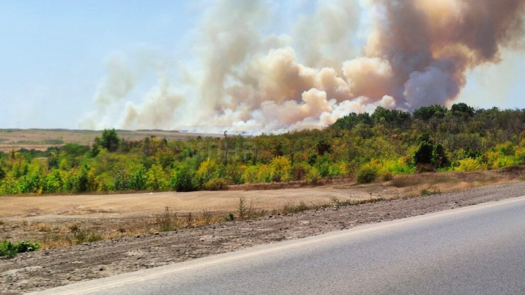 Біля окупованої Успенки вирує масштабна лісова пожежа. Опубліковане відео