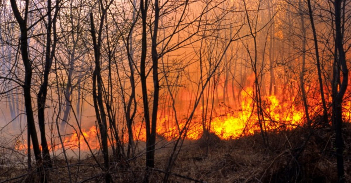 Пожежі вирують у Антрацитівському районі. Знищені будівлі та сотні гектарів трави