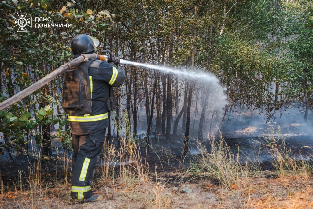 Під Лиманом на Донеччині ліквідували масштабну пожежу, яка знищила майже тисячу гектарів лісу