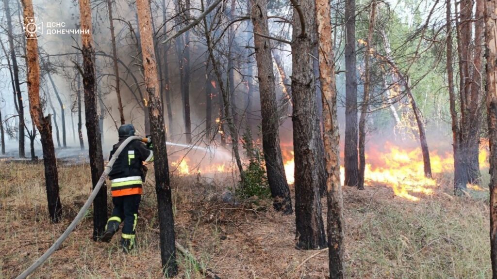 Рятувальники показали, як гасять пожежу у Національному парку “Святі гори”