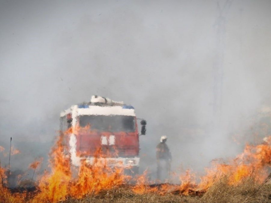 Окупанти запровадили “режим надзвичайної ситуації” у Краснодонському та Ровеньківському районах через масштабні пожежі