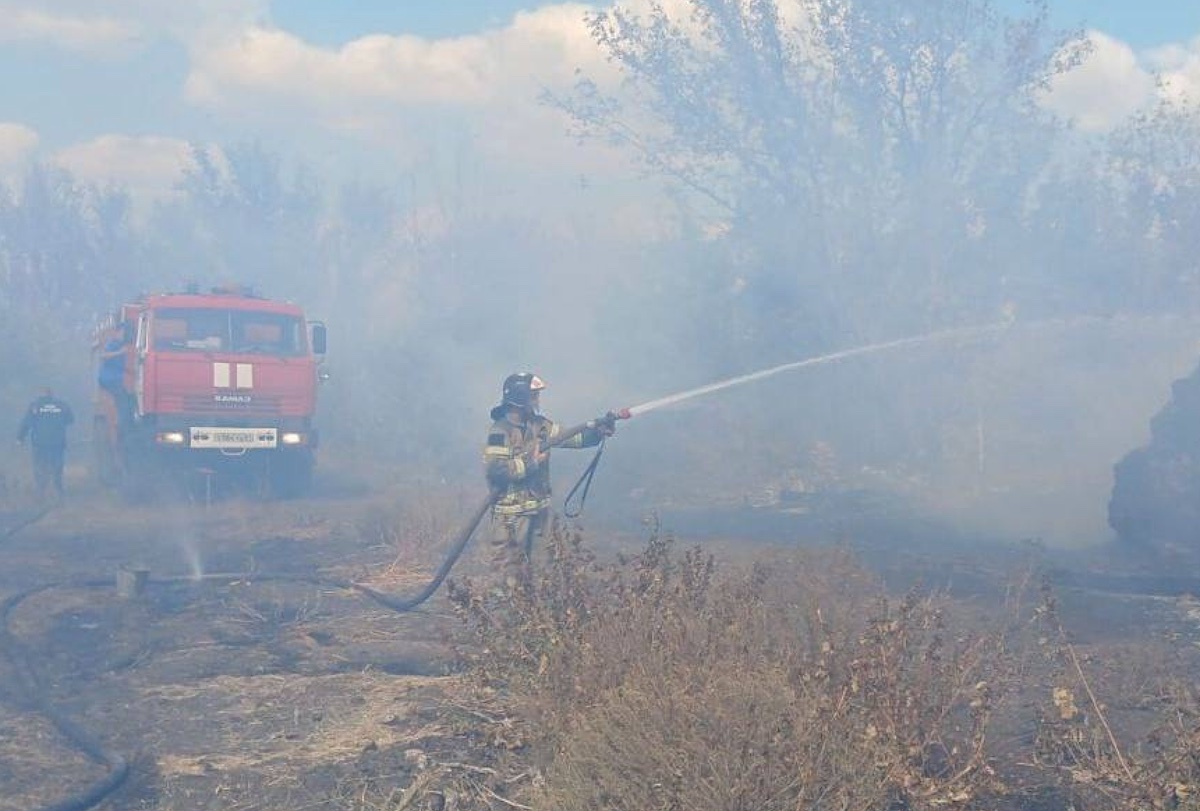 На Луганщині окупанти залучили до гасіння пожеж вже 500 осіб, але вогонь продовжує поширюватися