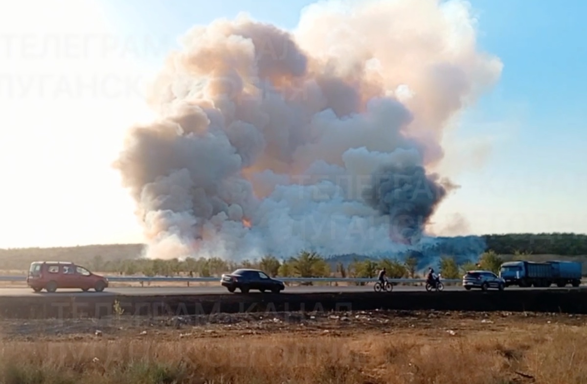 Під Луганськом спалахнула степова пожежа. У мережі публікую відео великого стовпа диму