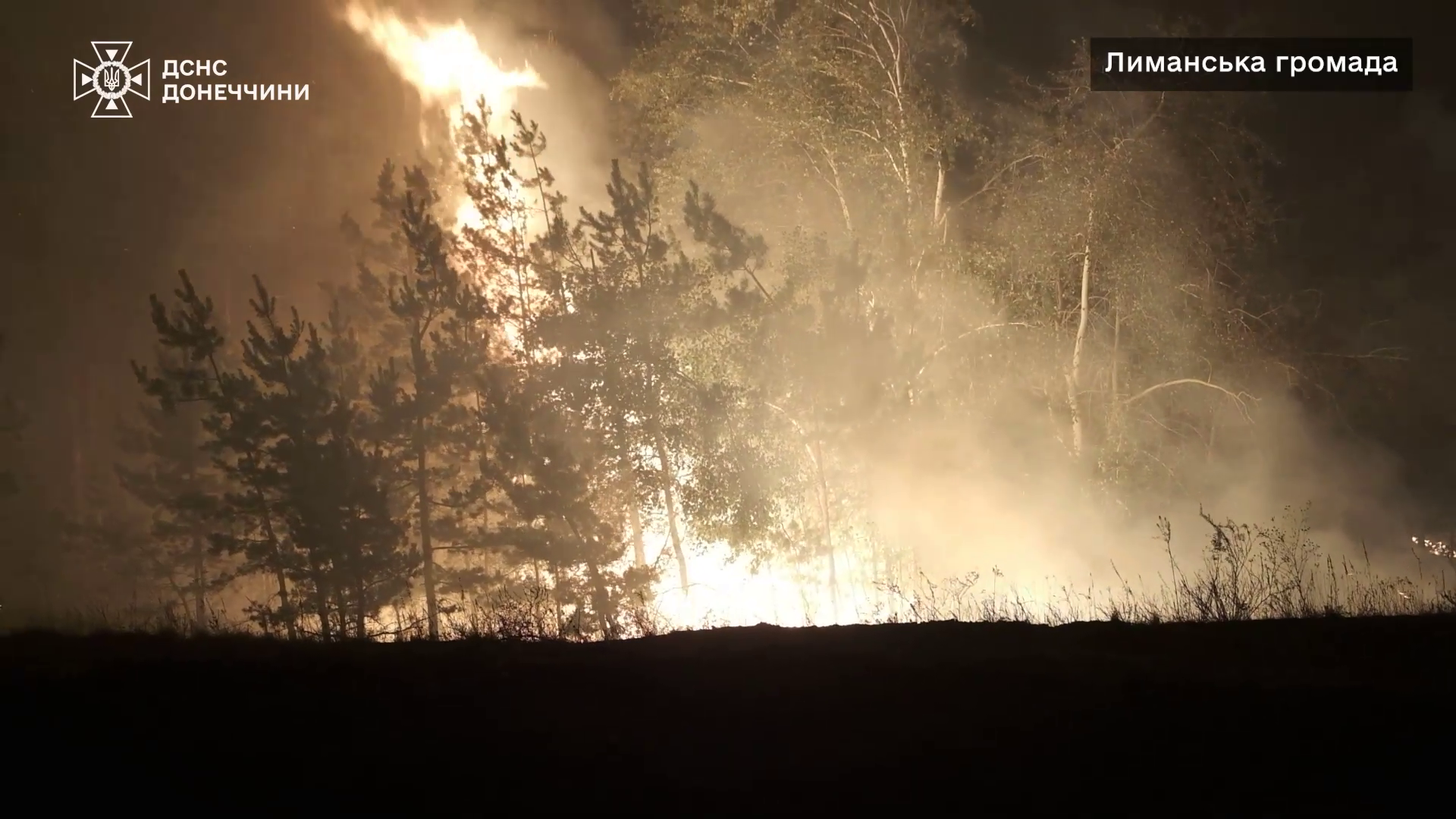 Масштабна пожежа в Лиманському лісництві. Наслідки ворожих обстрілів