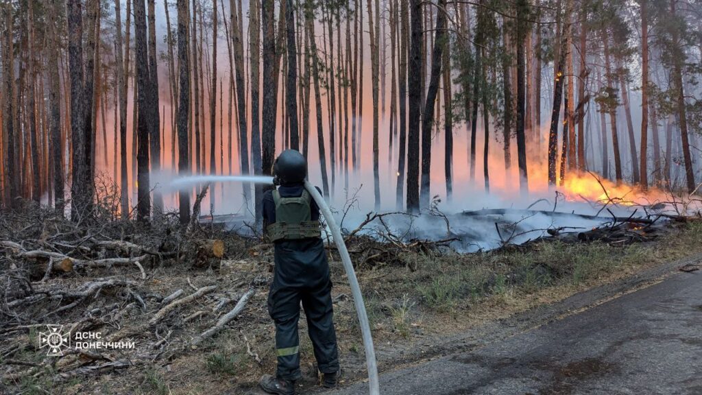 На Донеччині ліквідували масштабну лісову пожежу на території парку “Святі гори”