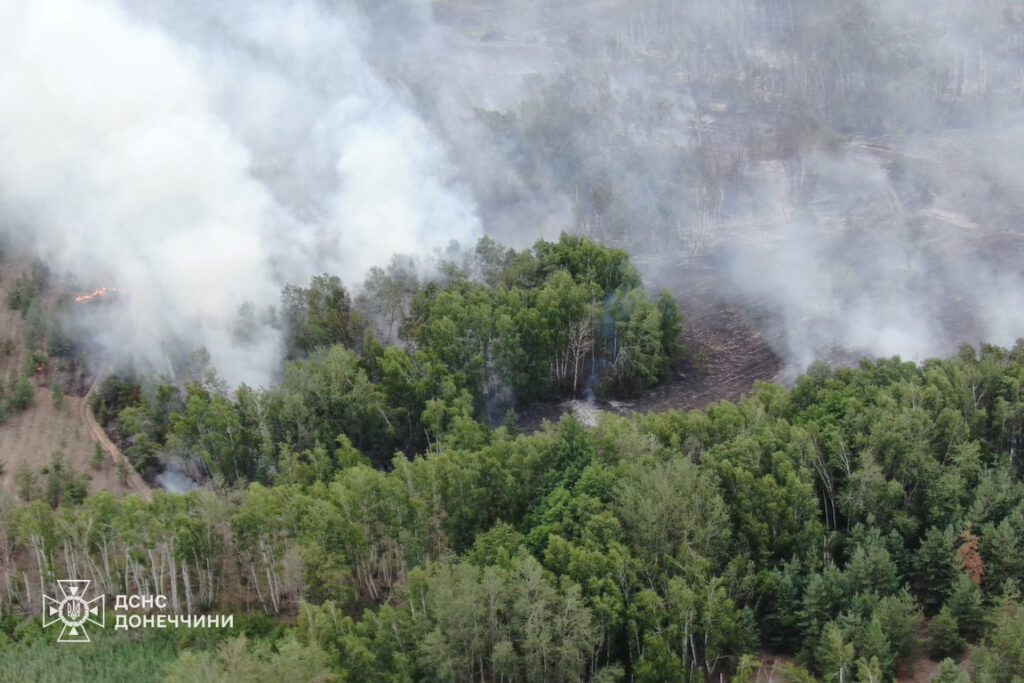 Біля Лиману у Донецькій області триває лісова пожежа