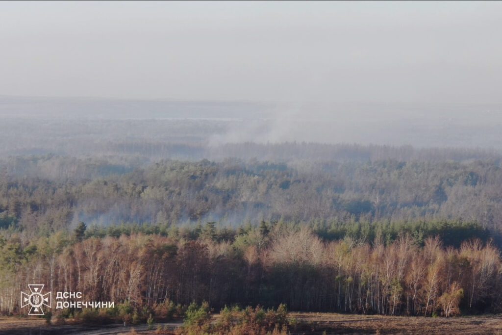 Біля Лиману у Донецькій області триває лісова пожежа