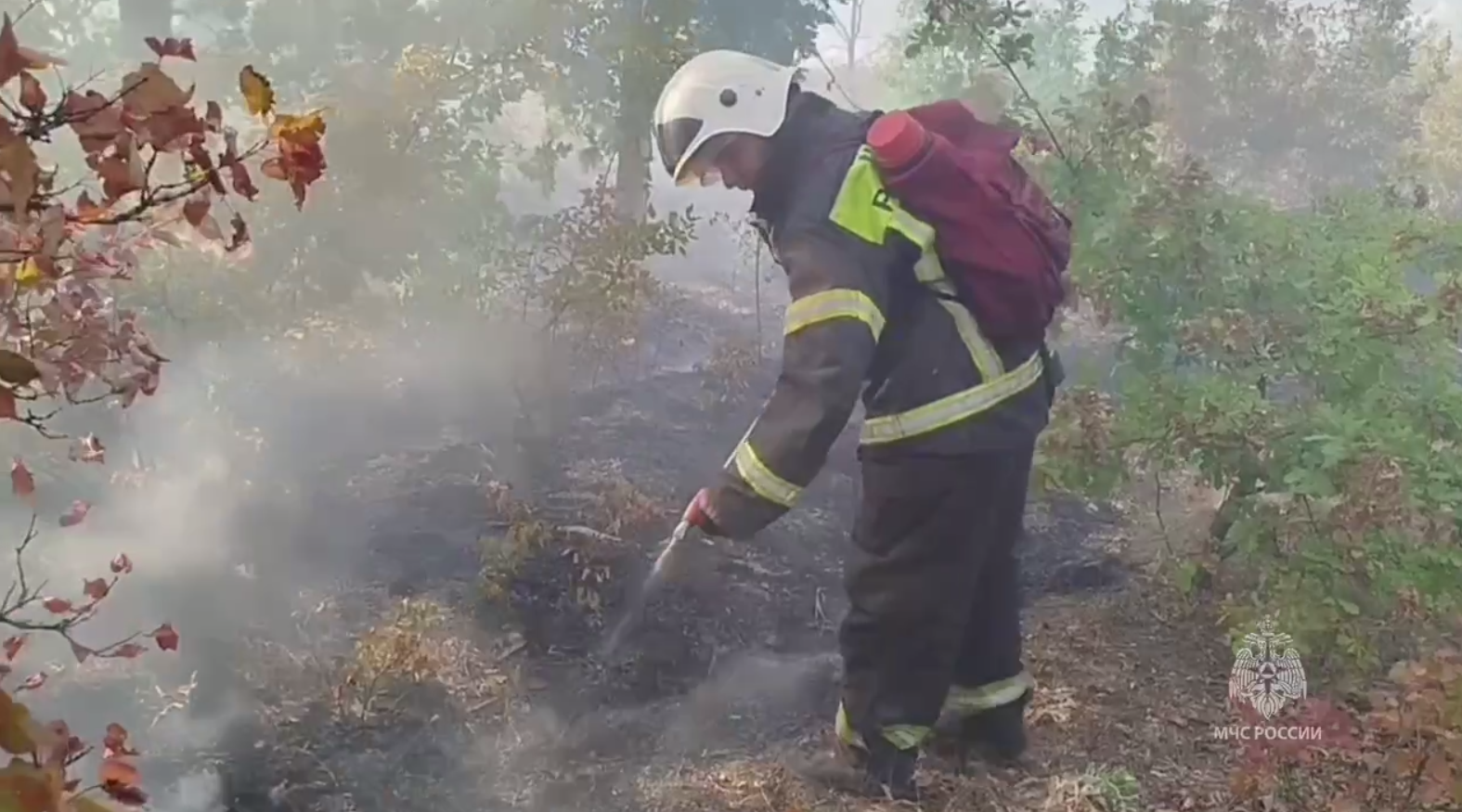 На окупованій Луганщині через степову пожежу ледь не загинув чоловік