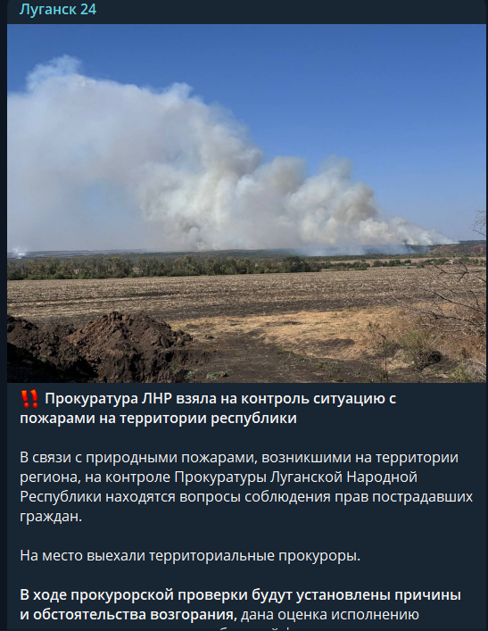 Окупована Луганщина у вогні. Як росіяни спекулюють на масштабних пожежах