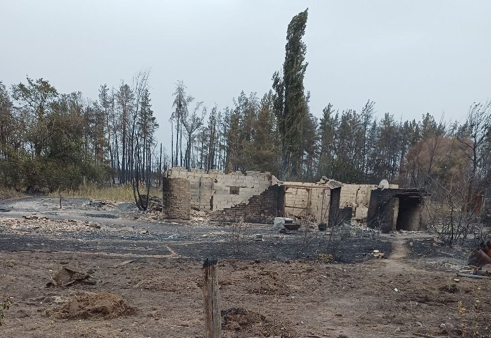 У мережі показали наслідки пожежі у Щєдріщєво біля Сєвєродонецька