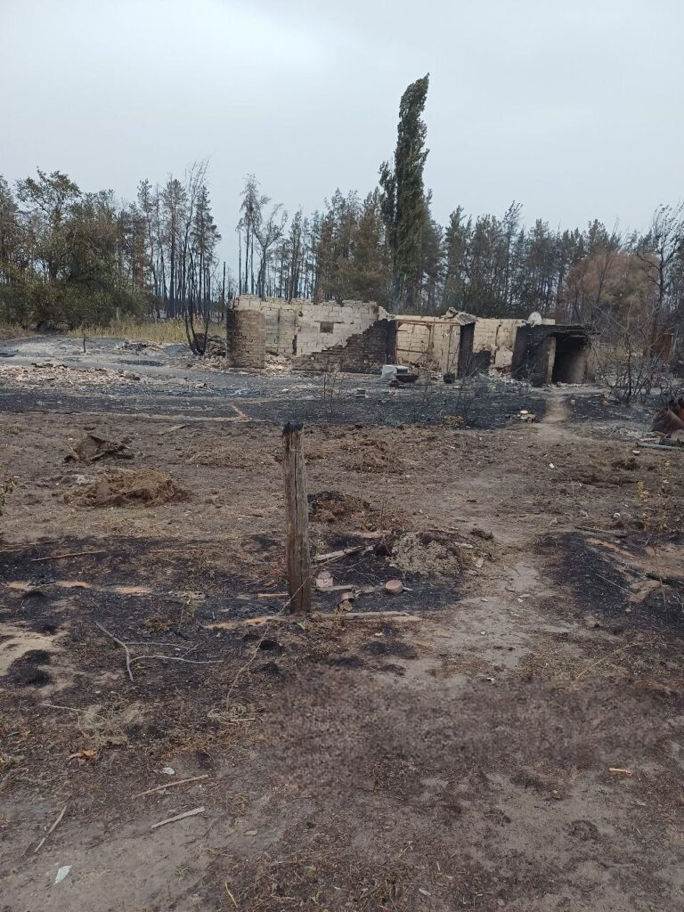 У мережі показали наслідки пожежі у Щєдріщєво біля Сєвєродонецька