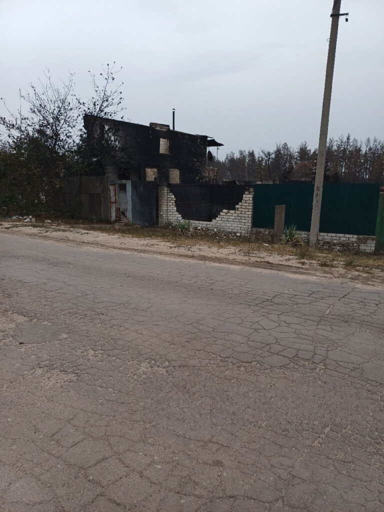 У мережі показали наслідки пожежі у Щєдріщєво біля Сєвєродонецька