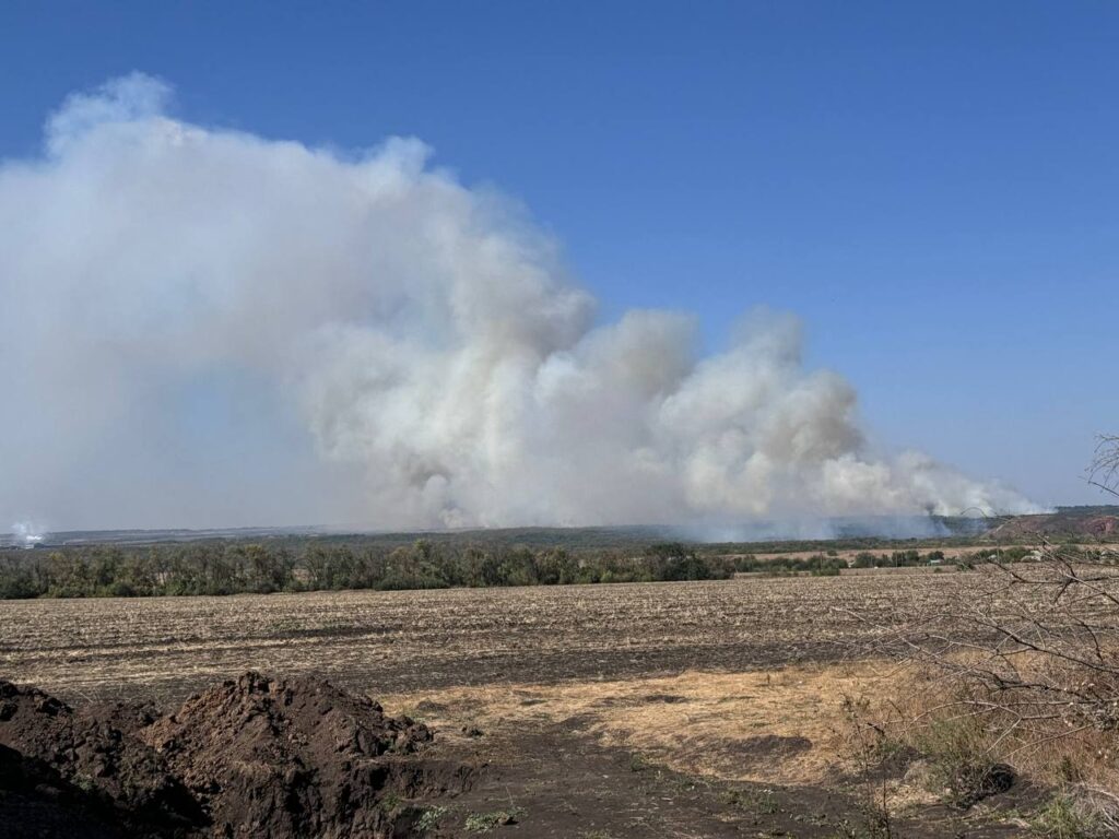 Окупована Луганщина у вогні. Як росіяни спекулюють на масштабних пожежах