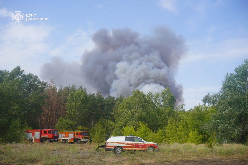 Рятувальники показали, як гасять пожежу у Національному парку “Святі гори”