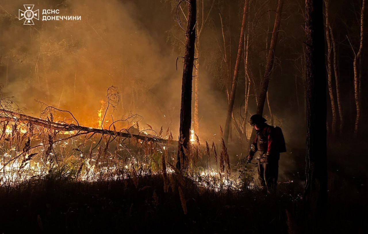 У Донецькій області горить нацпарк &#8220;Святі гори&#8221;. Загальна площа займання 5000 га