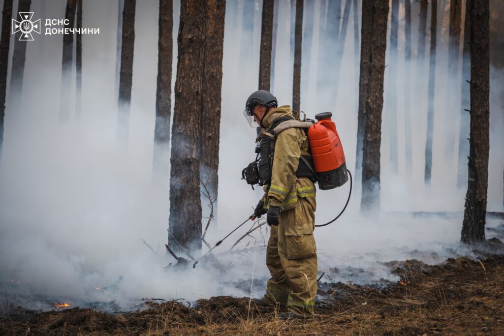 Рятувальники показали, як гасять пожежу у Національному парку “Святі гори”