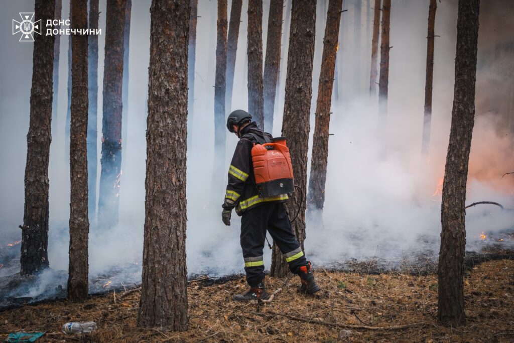 Рятувальники показали, як гасять пожежу у Національному парку “Святі гори”