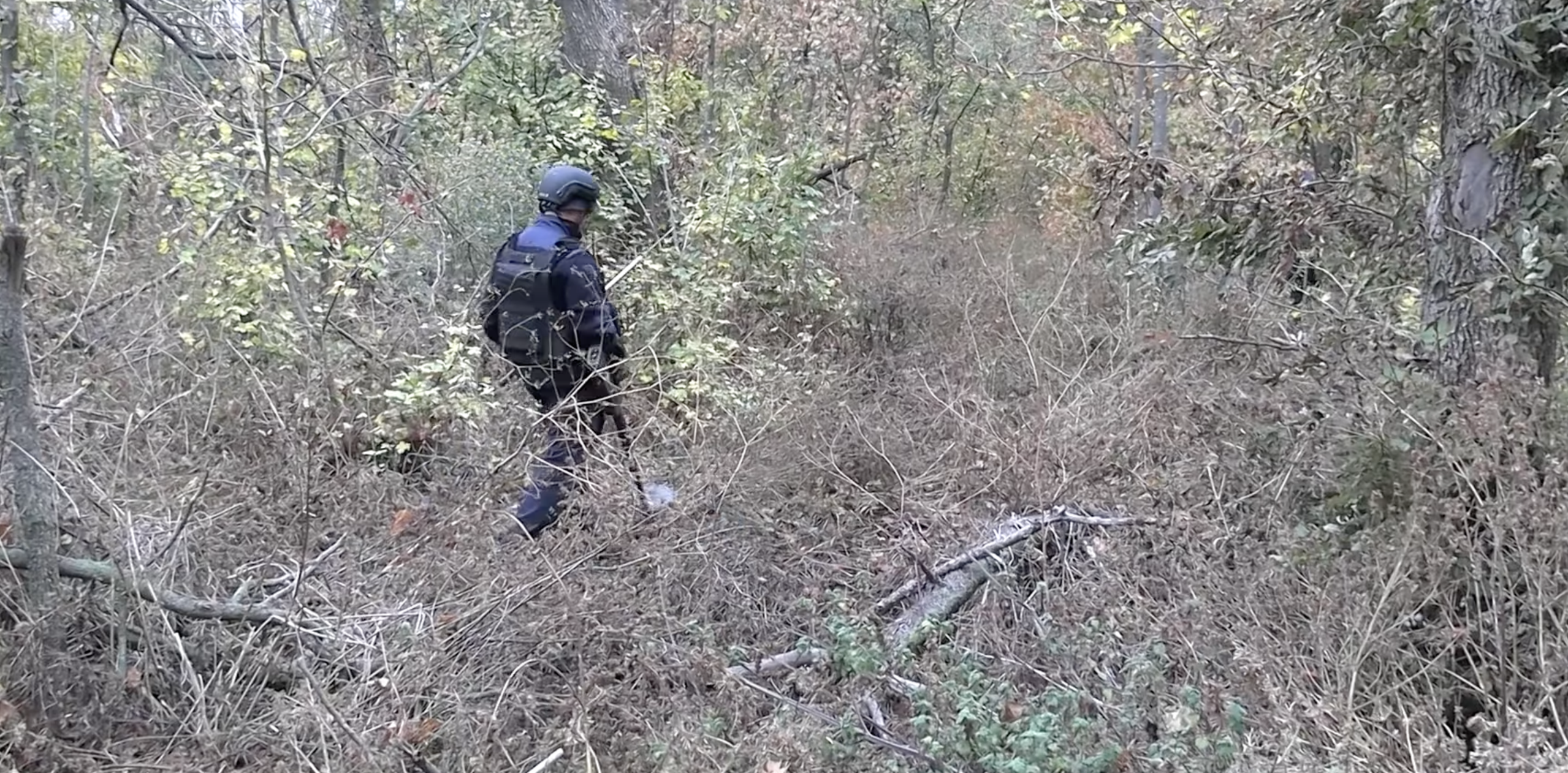 Піротехніки знайшли у природному парку на Донеччині гранатометний постріл і мінометну міну