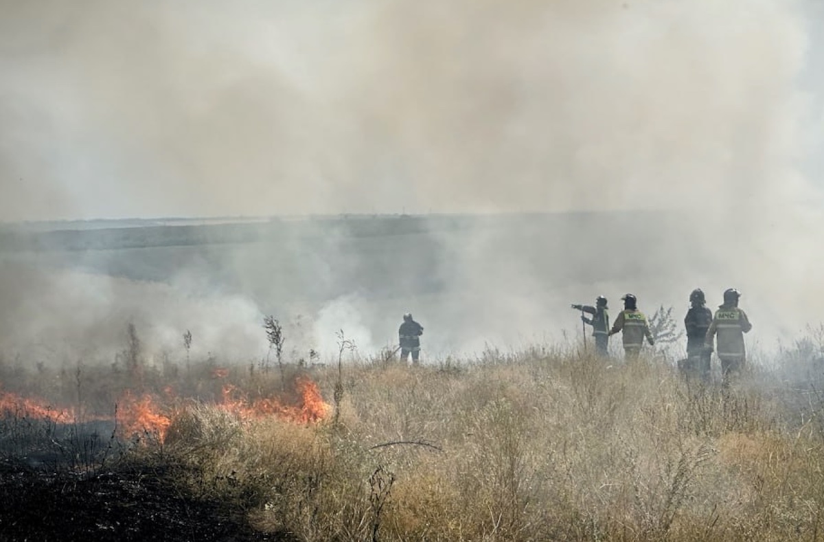 На окупованій Луганщині за день вигоріло 600 гектарів рослинності. У восьми районах вогонь перекинувся на житловий сектор