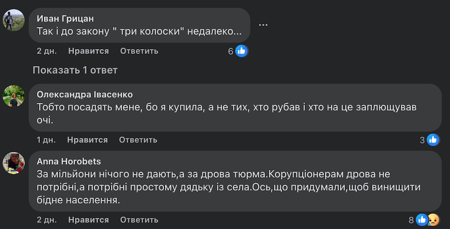 Українців хочуть штрафувати та саджати за зберігання дров. У мережі обурені новим законом (Фото)
