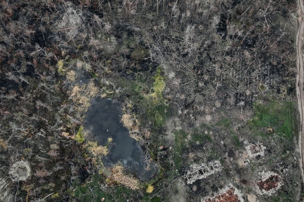 Костянтин та Влада Ліберови показали фото, як зараз виглядає Серебрянський ліс поблизу Кремінної