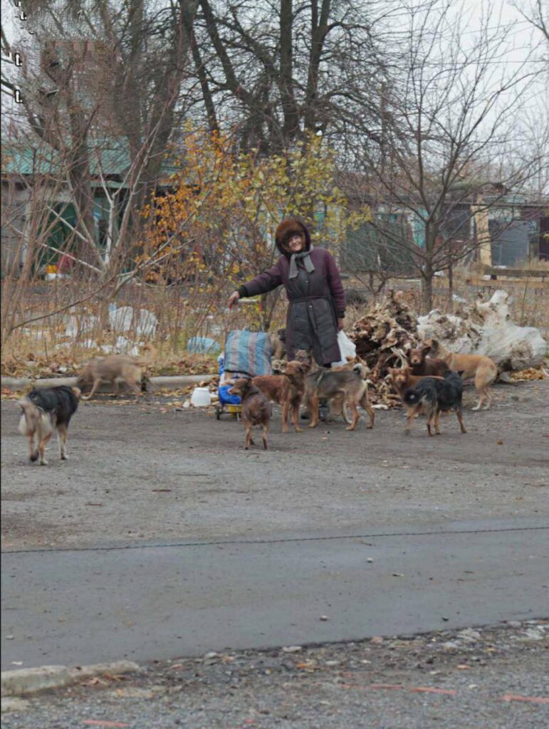 Зʼявилися фотографії окупованого Селидового. По вулицям їздять окупанти на мотоциклах