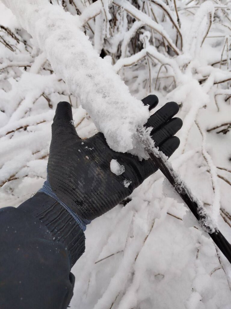 У Луганській області понад 20 тисяч абонентів залишилися без світла