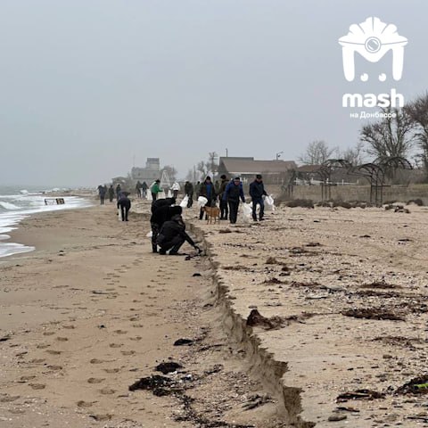 Студентів з Луганська відправили прибирати мазут в Анапу