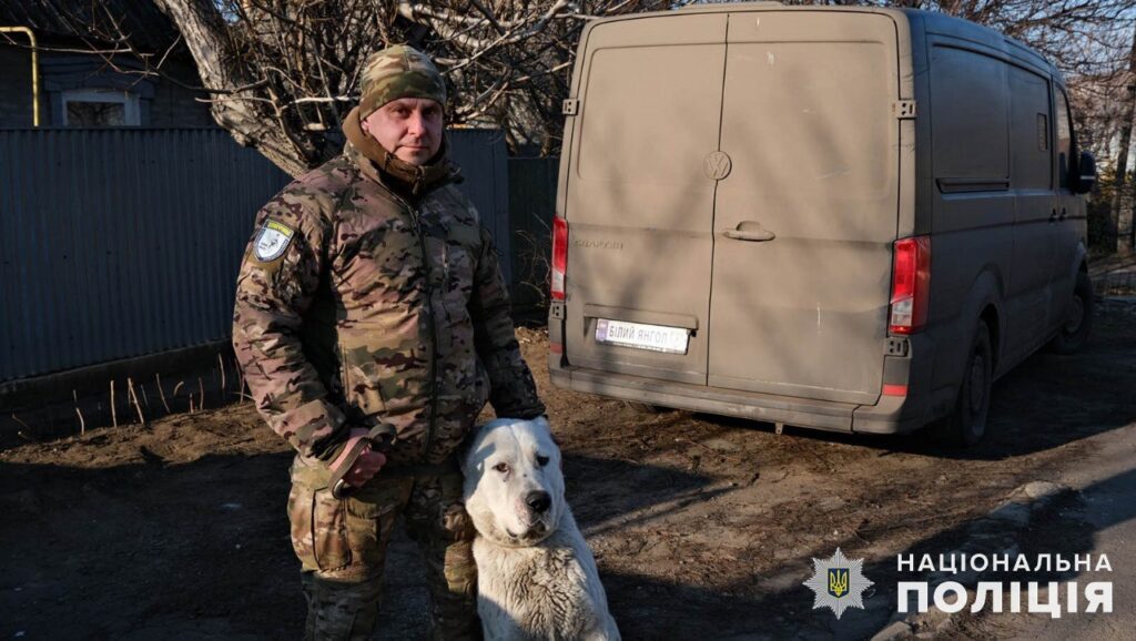 З Покровська евакуювали покинутого алабая і знайшли йому новий дім