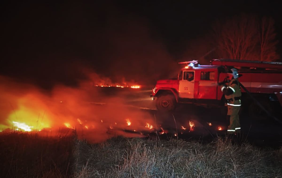 Окупована Луганщина продовжує горіти. За день вогонь знищив ще 70 гектарів полів