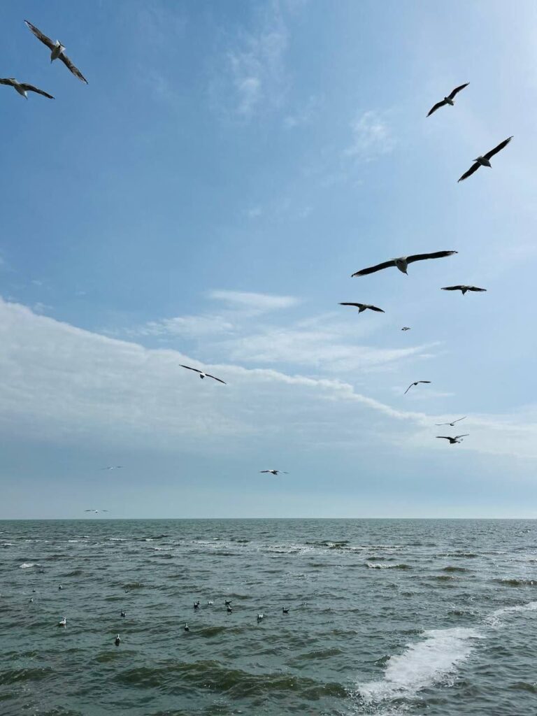 Жителі Маріуполя показали, як виглядає весняне море